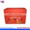 PP Plastic Vegetables Bins/Crates/Tray