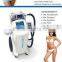 2016 Most Popular 3 In 1 Stand Cryopolysis Machine, Cryopolysis Slimming Machine
