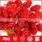 Hot sale dried red cherry tomato from China