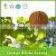  supplier healthy product organic ginkgo biloba extract 24/6