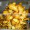 2016 New Crop HACCP Chinese Organic Fresh Ginger