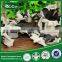 100% natural organic dried black fungus with white back