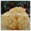Chinese White Jelly Fungus