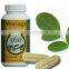 Moringa Leaf Capsules & Tablets