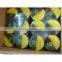 Woven PE Barricade Tape, Woven Barricade Tape,PE Barricade Tape