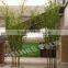 Plastic Mini Bamboo Interior Decoration For Garden Ornaments