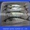 frozen mackerel good qualtiy cheap