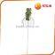 Decorative Fog, Cute Cuttings,Frog cuttings