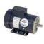 Century Air Compressor Washdown Three Phase Motor