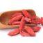 gojiberries goji wolfberry