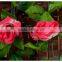 Artificial Fake Silk Rose Flowers Plant Rattan Vines For Wedding Arches Decor