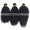grade 8a virgin hair kinky straight wholesale indian hair weave