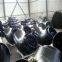Astm/asme A234 Wp1， Wp 11 ，wp 91  Stainless Steel Elbow For Vacuum Fitting Replacement