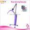 Niansheng 2020 facial led lamp pdt machine led red light skin rejuvenation  facial therapy beauty lamp pdt machine for salon