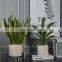 Modern White Leaf Pattern Style Ceramic Planters Garden Flower Pot Indoor and Outdoor Plant Containers