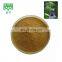 Nature Product Adenosma Caeruleum Extract Glutinosum Extract