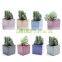 Ice Cracked Ceramic Flowerpot Square Succulent Flowerpot Colorful Mini-thumb Pot Zakka Succulent Pot For Garden Decor
