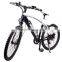 36V 250W electric bicycle e-bike with aluminium alloy frame CE SGS EN15194(FJ-TDE06)