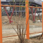 Flexible Stainless Steel Cable Mesh 304 316 Metal Wire Rope Mesh for Protection Animal Zoo Mesh Avaiy for Birds