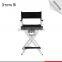 Folding Director Style Aluminum Chair in Silver