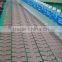 Conveyor Belt System for Beverage Packaging Line
