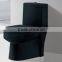 Dark Blue Sanitary Ware Toilet for Children