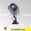 Frankever LED 10W Projector lamp LED Rotating indoor Gobo Projector
