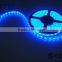 Best Waterproof under water led light RGB Blue Epistar DC 12V IP68 smd 3528 60leds LED strip rope light lighting