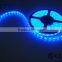 Top selling under water led light RGB Blue Epistar DC 24V IP68 smd 3528 60leds LED strip rope light lighting