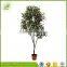 wholesale 2016 true trunk low price artificial banyan tree for indoor decoration