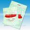 Accept Custom Order OEM Cheap Printed No Anti-Dumping Duty Plastic Retail Gift Bag