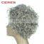 In stock silver grey wig, low price 100% human hair fashional short wig for women