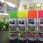 Aeropak Colorful Spray Can Paint for Mulit- Porpose