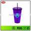 450 ml Customized plastic bpa free insulated cup with straw