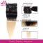 double drawn remy hair extensions clip in
