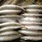 Frozen Whole Round Mackerel Size 200-300g/pcs for Sale