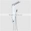 wall mount shower set,fashionable shower set,chrome surface shower set