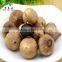 Dark Blackened Garlic, Blackgarlic, Black Garlic for Sale