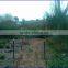 Australia &ISRAEL Y Fence Post With ISO 9001:2008