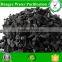 Factory price 8*30 mesh coal base activated carbon for water treatment