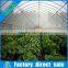 Low cost galvanized pipes vegetable greenhouse with irrigation system for agriculture