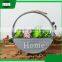 modern fancy home goods decorative hanging antique round fancy stand wood decoration vase