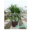 New small pots wholesale garden flower planter