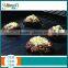 Heat Resistant Non-Stick Cooking PTFE BBQ Grill Mat
