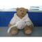 Offering Plush Toys Teddy Bear OEM Welcome