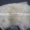 Dehaired And Carded Chinese Sheep Wool White 21.5mic/34-36mm