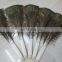 Natural high quality 80-90cm peacock feather