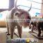 KAWAH Animal zoo Life Size Yak Animatronic Realistic Robot Animals