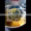 Taizy peanut/coconut/sunflowers seeds automatic centrifugal oil filter