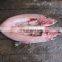 Fish opening Ripper machine gutting cleaning machine fish fillet machine